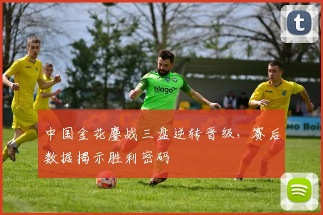 中国金花鏖战三盘逆转晋级，赛后数据揭示胜利密码