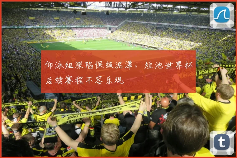 仰泳组深陷保级泥潭，短池世界杯后续赛程不容乐观